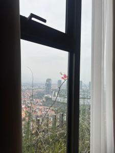 Fotografie z fotogalerie ubytování Halo Homestay v Hanoji