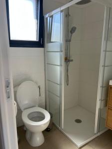 a bathroom with a toilet and a shower at Le cocon de Malo in Lecci