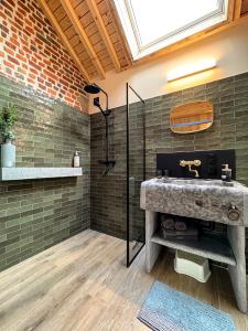 a bathroom with a shower with a stone sink at La Grange in Wasseiges