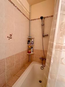 Ένα μπάνιο στο Chambre privative au calme en plein centre avec balcon