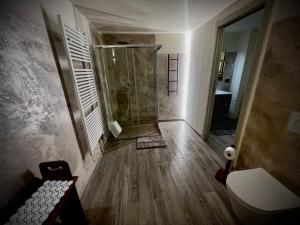 a bathroom with a shower and a toilet at La maison du faux monneyeur in Saint-Rhémy-en-bosses