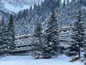 a large building with snow covered trees in front of a mountain at Il Sole delle Dolomiti in Campestrin