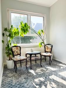 a room with two chairs and a table and a window at VILLA SUNNY ROSE Bed & Breakfast in Świnoujście