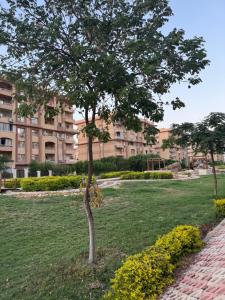 uma árvore num parque em frente a um edifício em Comfyshorouk em Darb al Ḩājj