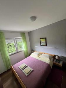 a bedroom with a large bed with a purple blanket at Rooms Danica in Donji Babin Potok