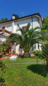 a white house with a palm tree in front of it at Relax nella Natura in Bolano
