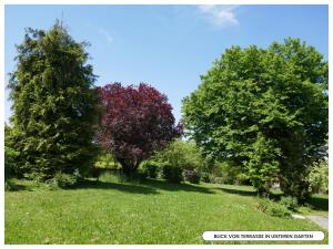 een groep bomen in een grasveld bij Villa von EmMa in Rot am See