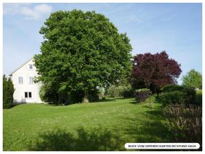 een grote boom voor een wit huis bij Villa von EmMa in Rot am See