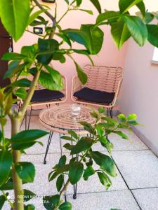 two chairs and a coffee table in a room with plants at Ai Gelsi in Lavariano
