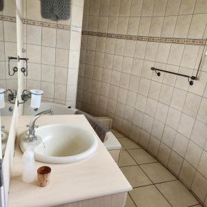 a bathroom with a sink and a toilet at Simply Rooted Cottage in Piet Retief +13 photos