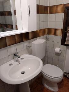 a bathroom with a white toilet and a sink at Casetta Scricciolo in Enego +11 photos