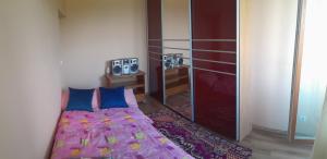 Valea lui MihaiにあるHanga Apartmanのギャラリーの写真