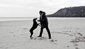 a man and a dog playing on the beach at ХОТЕЛ за кучета Киноложки център СТИФ in Bŭnzareto