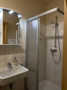 a bathroom with a shower and a sink at Ferienwohnungen am Roland in Neustadt +7 photos