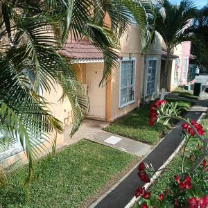 una casa con una palmera delante en Casa Flamingo 3 Recamaras, 3 Baños completos, en Ixtapa 11 fotos más