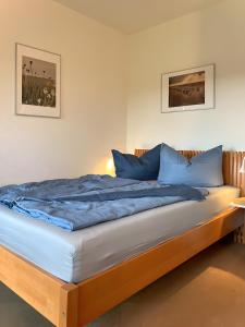 1 cama en un dormitorio con almohadas azules en Fewo Mohnrot - Fulgenhaus, en Klein Bollhagen