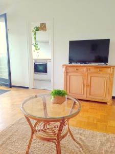 a living room with a glass table and a tv at Trudi's Apartment bei Bonn in Sankt Augustin