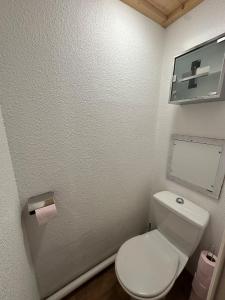 a small bathroom with a toilet and a mirror at Duplex au pied des pistes VALMEINIER 1800 in Valmeinier +3 photos