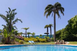 科巴罗孔巴洛酒店的棕榈树和棕榈树的游泳池