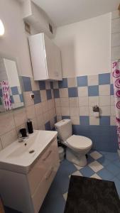 a bathroom with a toilet and a sink at domek w pobliżu jeziora in Czarnówka +15 photos