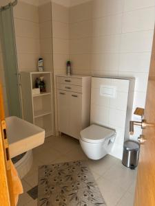 Un baño con inodoro, lavabo y ducha. en Adria, en Brodarica 14 fotos más