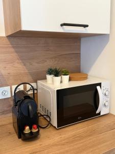 ブールジュにあるSéjour a Bourges avec Parkingの植物を乗せた電子レンジ