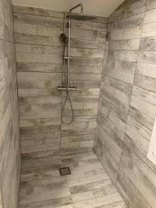 a bathroom with a shower with wooden walls at Petit appartement dans une maison au calme in Bonneville +8 photos