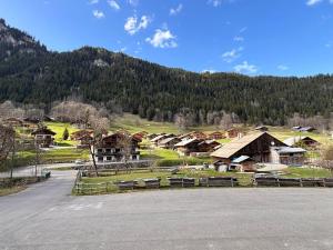 a group of houses in a field with a mountain at Studio Châtel Secteur Linga Proche Pistes in Châtel