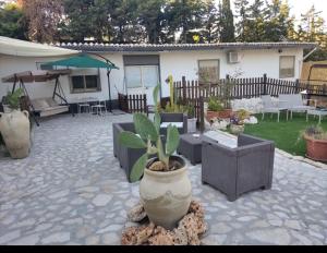 eine Terrasse mit einer Pflanze in einem großen Topf in der Unterkunft Mari e Suli in Favara