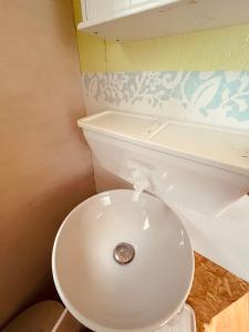 a bathroom with a white toilet in a room at HAEVN Bauwagen Marienfliess in Meyenburg