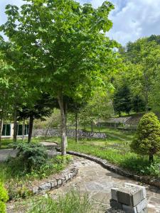 コルチャにあるDardha INNの石道公園内の木