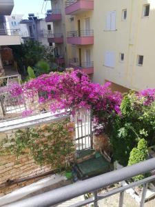 Gallery image of Vila Dhipali in Sarandë