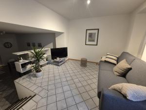 a living room with a couch and a tv at Torretta House in Locarno
