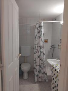 a bathroom with a toilet and a shower curtain at Angelo's Apt in Mesochórion