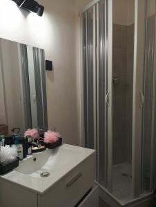 a bathroom with a shower and a white sink at flowers room au coeur de saint Ouen parking gratuit in Saint-Ouen
