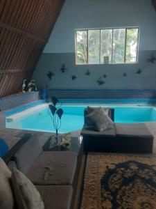 a swimming pool with a couch and a window at AD'S Overnight Accommodation in Richards Bay