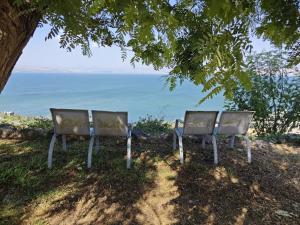 two benches sitting on top of a hill overlooking the ocean at קסם הכנרת in Tiberias +3 photos