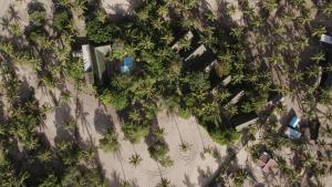 an overhead view of trees and cars in a parking lot at Viva O Sonho 