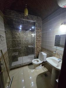 a bathroom with a shower and a toilet and a sink at Villa Harmony Luxor in Luxor +34 photos