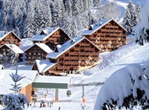 Chalet Apartment Oz Station 4 star T3 well equipped & next to pistes v zimě