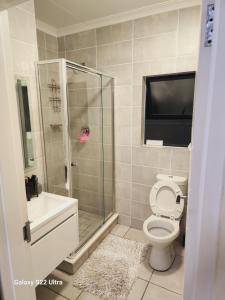 Un baño con ducha, inodoro y lavabo. en WeAreTogetherLuxuryApartment, en Pretoria