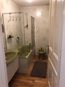 Un baño con una bañera verde y un inodoro verde. en Apartment Standing Evian les Bains, en Évian-les-Bains