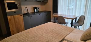 Köök või kööginurk majutusasutuses Apartmány Špacír 3