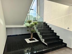 a staircase in a house with a tree on the floor at Villa Lustria in Labin
