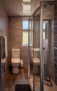 a bathroom with a toilet and a shower at Dundee themed apartment with free parking in Dundee