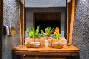 a table with four plants on top of it at Kawa Bamboo Retreat in Pereira