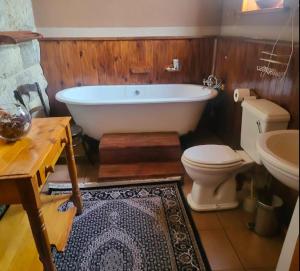 a bathroom with a tub and a toilet and a sink at The Journey GuestHouse in Ladybrand