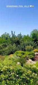 Paesaggio naturale nelle vicinanze della villa