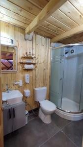 a bathroom with a toilet and a shower and a sink at ELASYA BUNGALOV in Rize +17 photos
