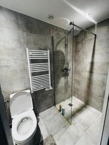 a bathroom with a toilet and a shower at Appartement cosy prêt de Paris Cdg, Astérix , Parc des expositions et Centre de formation CAMAS in Tremblay-En-France